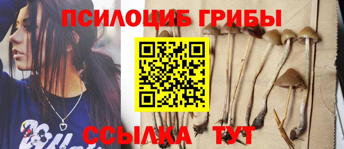 Псилоцибиновые грибы Cubensis Рубцовск